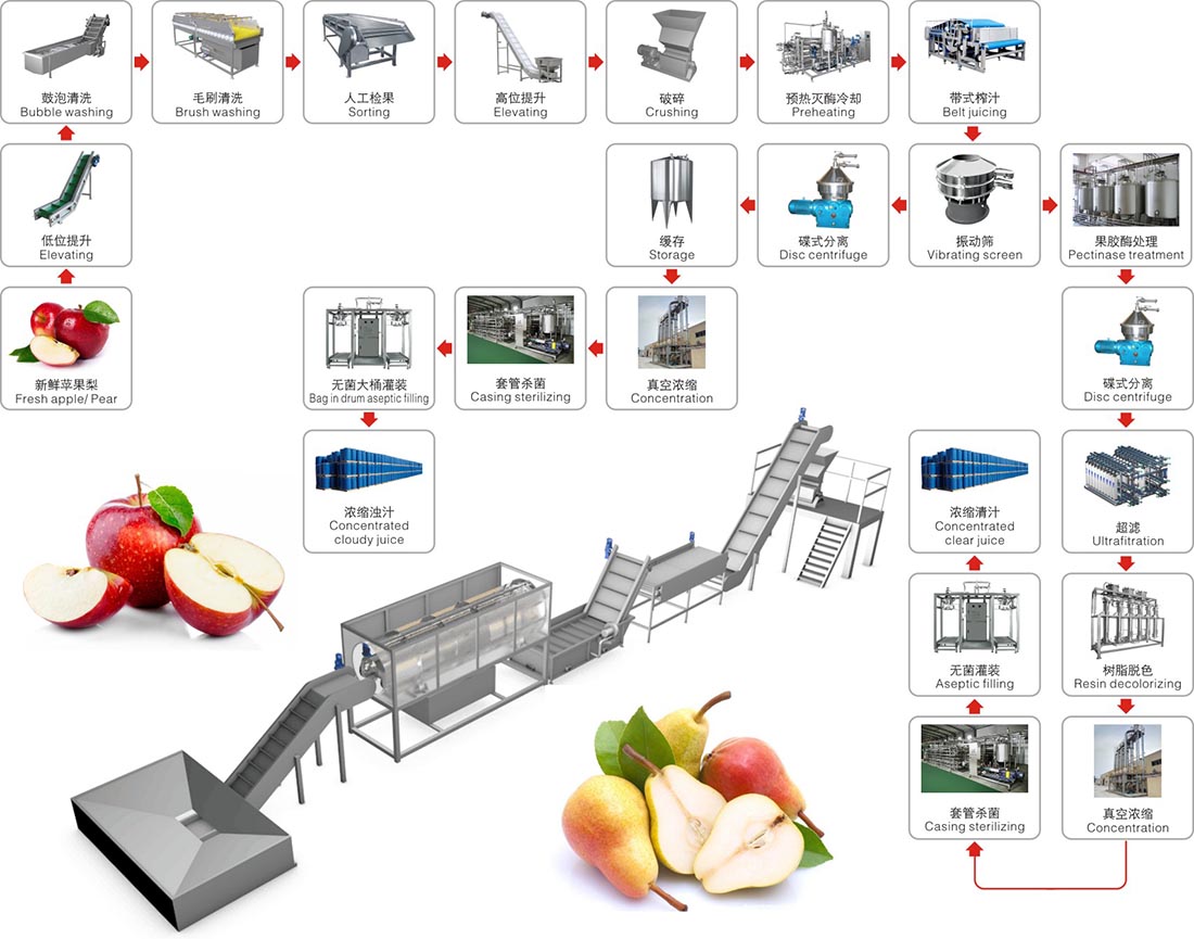 apple process flow.jpg