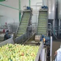 Apple Juice Process Line