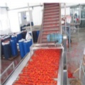 Tomato Juice Process Line